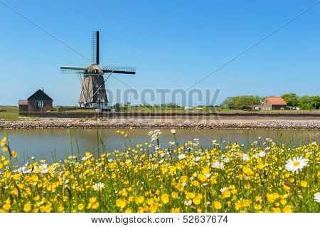 Windmill and wild flowers at Dutch wadden island Texel