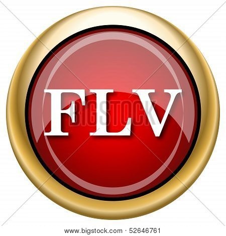 Flv Icon