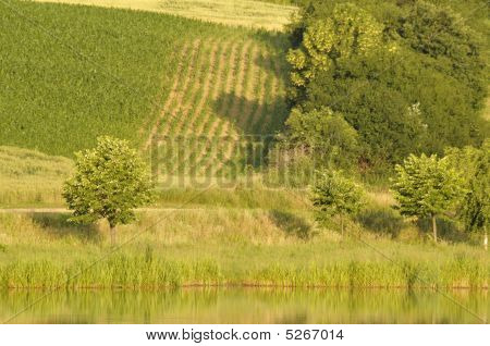 Feld auf dem Hügel