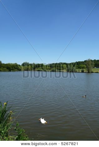 Hainault Waldsee