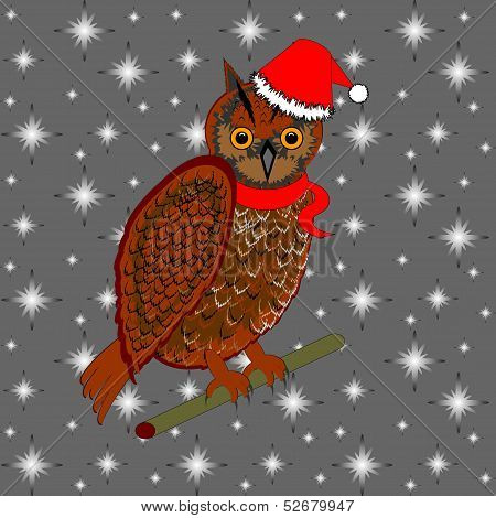 A Christmas Owl On A Snowing Background