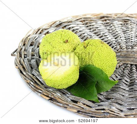 Osage Orange fruits (Maclura pomifera), isolated on white