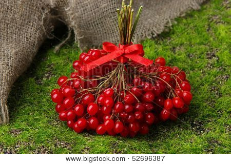 Red berries of viburnum on green grass background