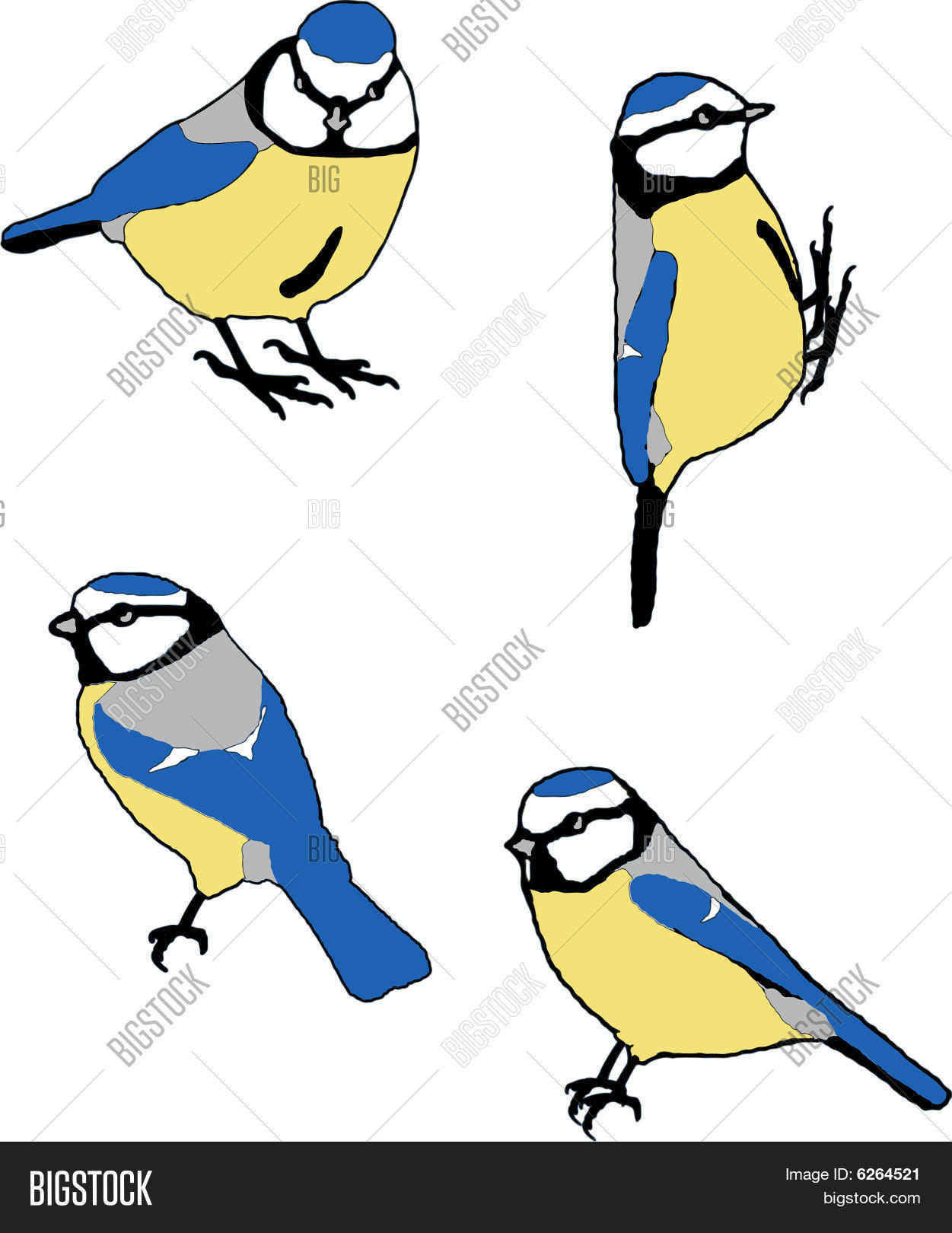 Image Preview