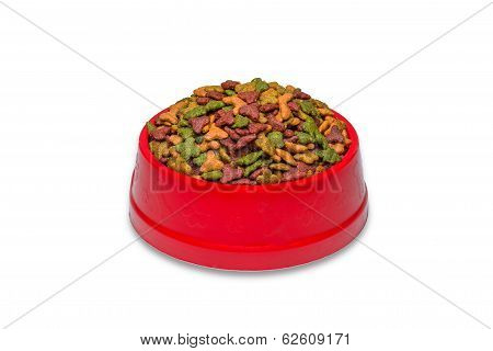 cat food in red  bowl