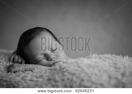 Sleeping Baby