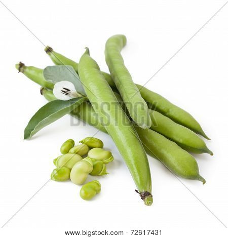 Fave With Flower, Isolated On White Background