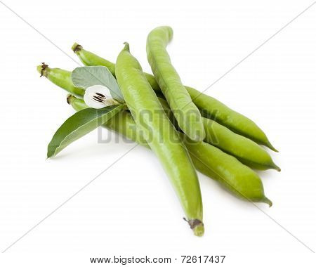Fave With Flower, Isolated On White Background