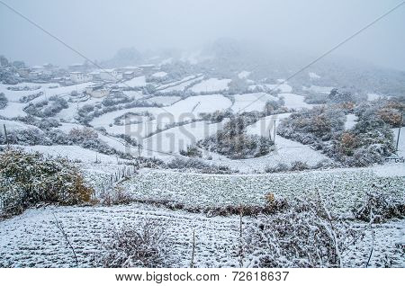Winter Landscape