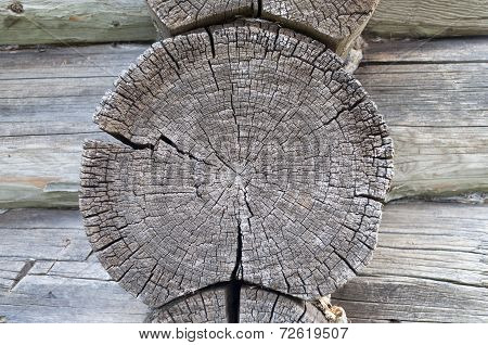 Log End Of Old Wooden House