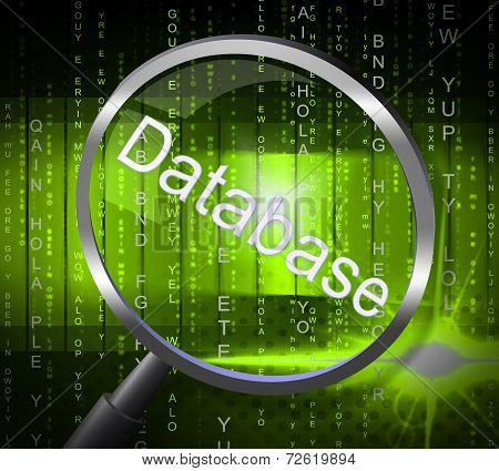 Magnifier Databases Shows Byte Magnify And Searching