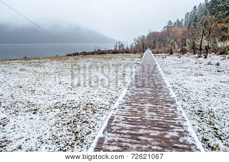 Wooden Walkway In Winter