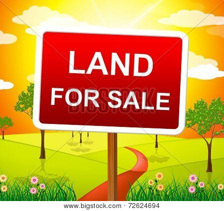 Land For Sale Represents Real Estate Agent And Purchase