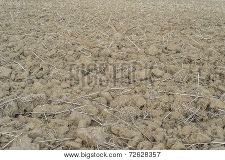 Plowed Field