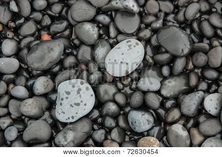 Rocks In The Beach