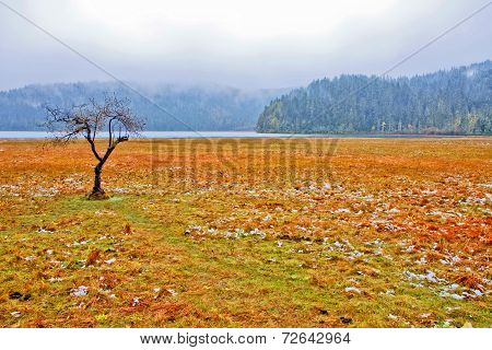 China Winter Landscape