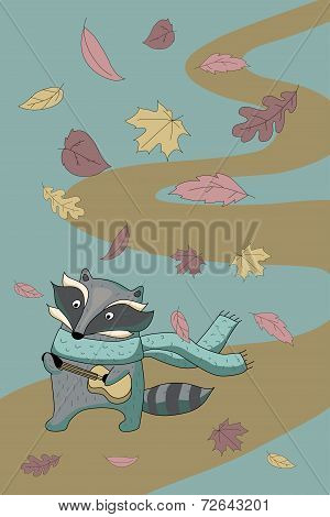 Autumn raccoon