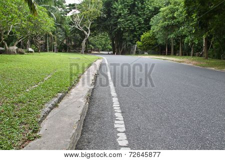 A street with white stripe