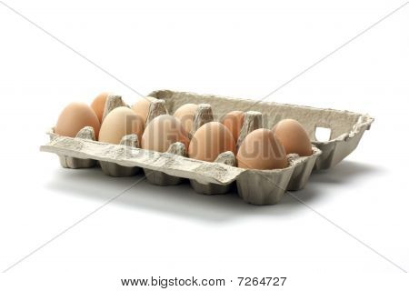 the hen's eggs in pack