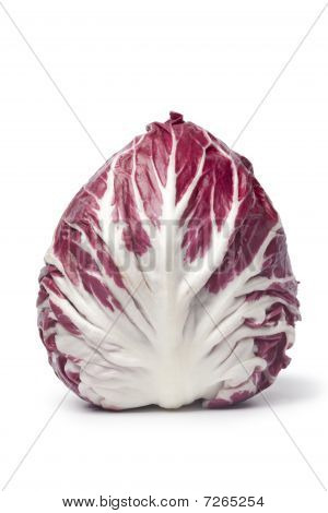 Un entero Radicchio rosso