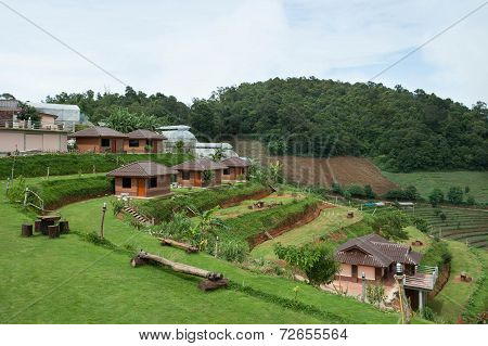 Houses