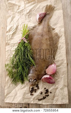 Fresh Plaice On Kitchen Paper