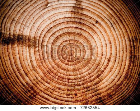 Wooden cut background