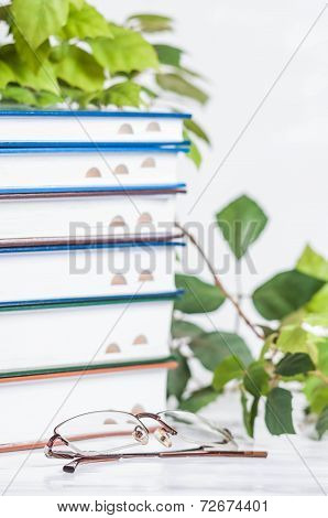 books isolated on white