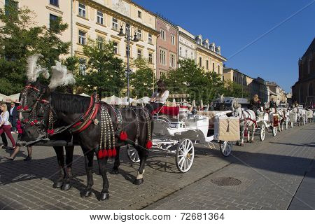 Horses pulling carriage