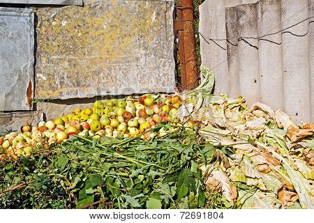 Compost Heap