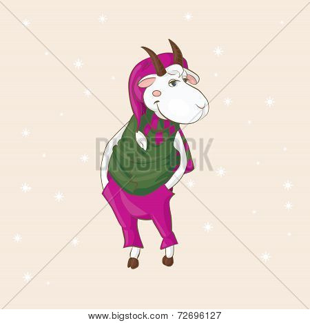 Snow Goat