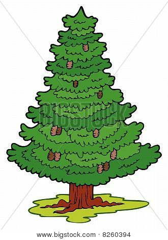 Cartoon coniferous tree