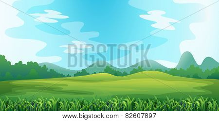 Illustration of a green field