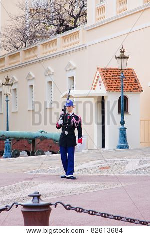 The Prince's Palace In Monaco