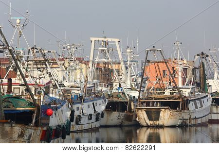Fishing Vessels In Sea Haven Moored In Italy