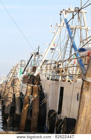 Fishing Vessels In Sea Harbor Moored