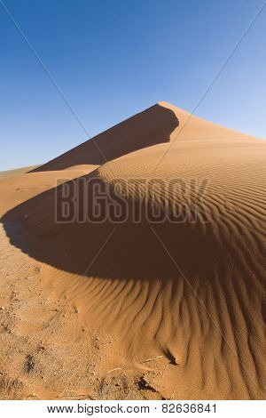 Sand Dune