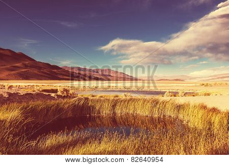 Landscapes in Northern Argentina