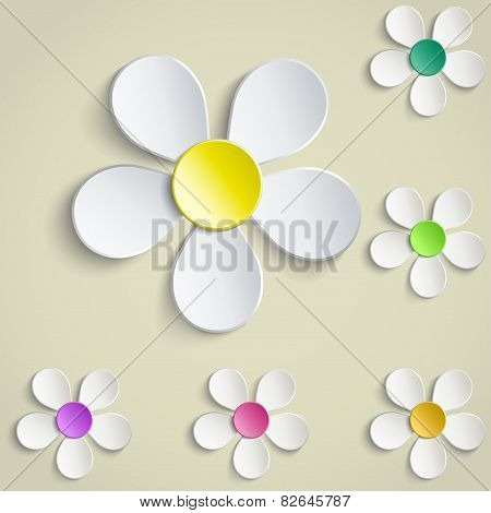 Colorful Flowers