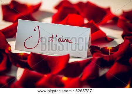 Valentines love hearts against card surrounded by petals