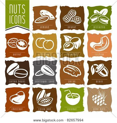 Nuts icon set - 2