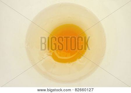 Egg Yolk.