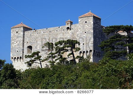 Castle Nehai