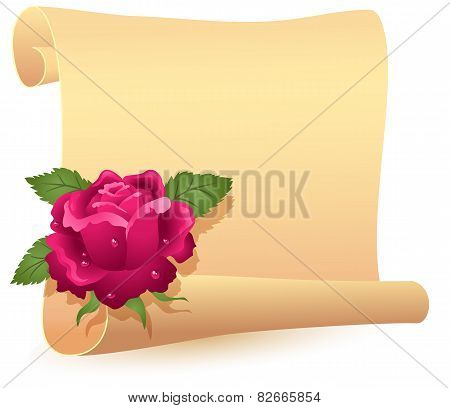 Rolled Parchment And Rose