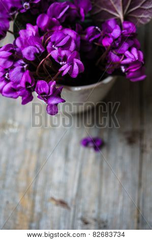 Spring Time