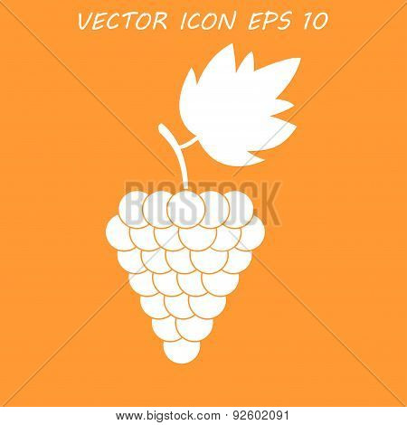 Grapes Icon