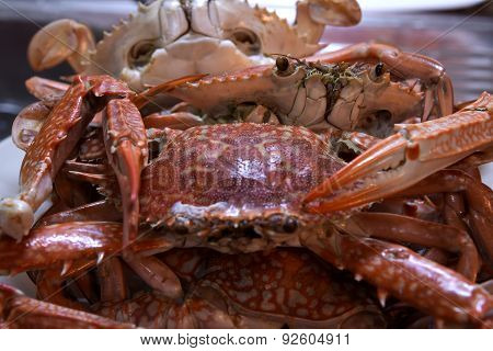 Boiled Crabs, Ready to cook for Thai Crab Curry