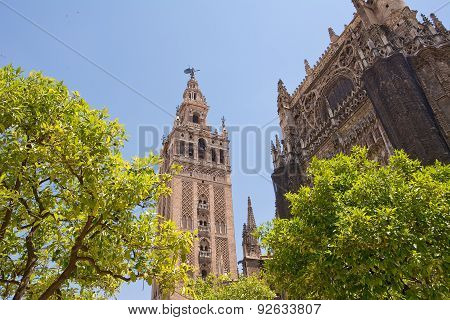 Giralda Tower In Sevilla