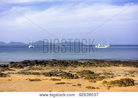 Low Tide.
