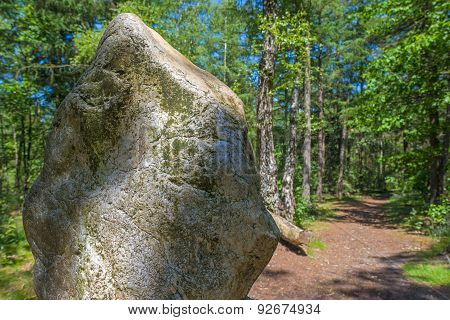Boulder in a forest in sunlight in spring